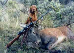 Click for full sized image