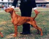 Click for full sized image