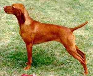 Clilck for full size image