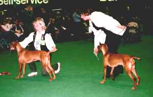 Click to view full picture