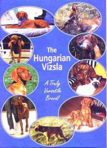 The Cover